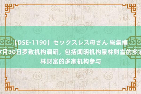 【DSE-1190】セックスレス母さん 総集編 ST中泰：7月30日罗致机构调研，包括闻明机构景林财富的多家机构参与