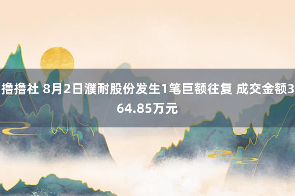 撸撸社 8月2日濮耐股份发生1笔巨额往复 成交金额364.85万元