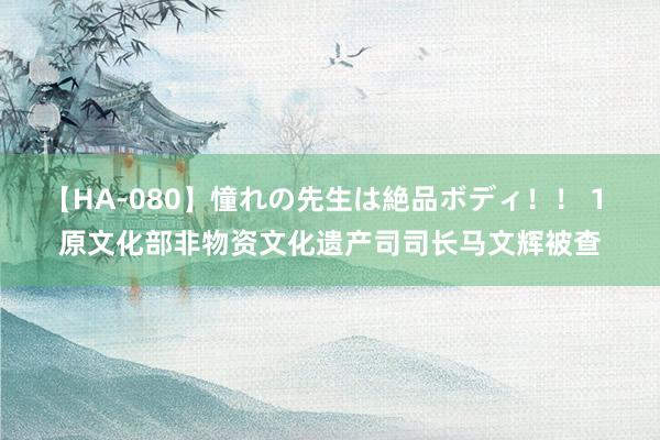 【HA-080】憧れの先生は絶品ボディ！！ 1 原文化部非物资文化遗产司司长马文辉被查