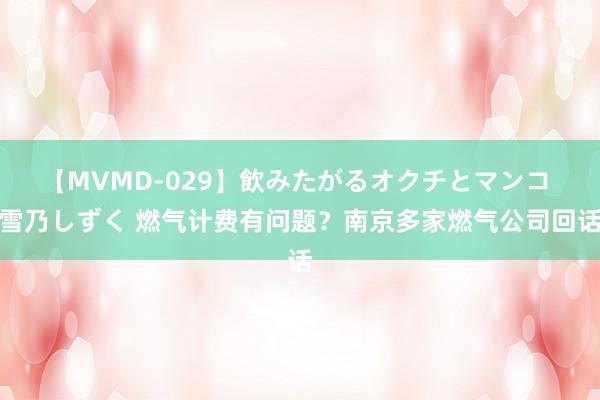 【MVMD-029】飲みたがるオクチとマンコ 雪乃しずく 燃气计费有问题？南京多家燃气公司回话