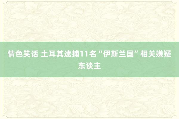 情色笑话 土耳其逮捕11名“伊斯兰国”相关嫌疑东谈主