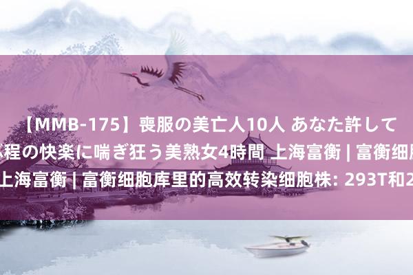 【MMB-175】喪服の美亡人10人 あなた許してください 意識がぶっとぶ程の快楽に喘ぎ狂う美熟女4時間 上海富衡 | 富衡细胞库里的高效转染细胞株: 293T和293FT