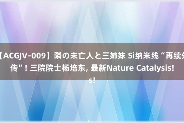 【ACGJV-009】隣の未亡人と三姉妹 Si纳米线“再续外传”! 三院院士杨培东, 最新Nature Catalysis!