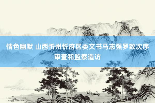 情色幽默 山西忻州忻府区委文书马志强罗致次序审查和监察造访