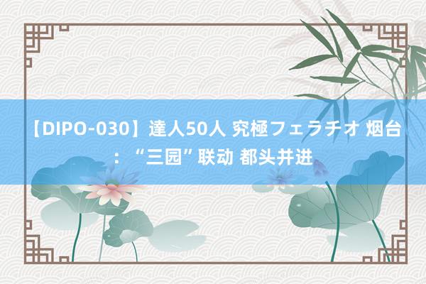 【DIPO-030】達人50人 究極フェラチオ 烟台：“三园”联动 都头并进