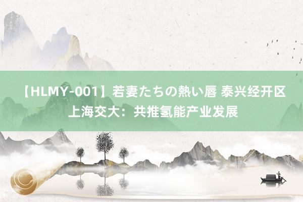 【HLMY-001】若妻たちの熱い唇 泰兴经开区 上海交大：共推氢能产业发展