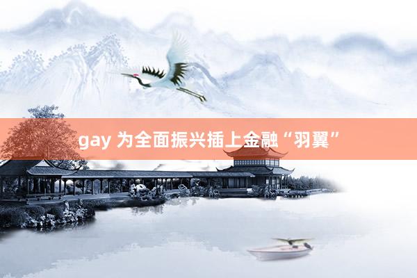 gay 为全面振兴插上金融“羽翼”