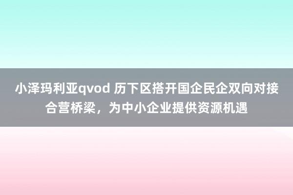 小泽玛利亚qvod 历下区搭开国企民企双向对接合营桥梁，为中小企业提供资源机遇