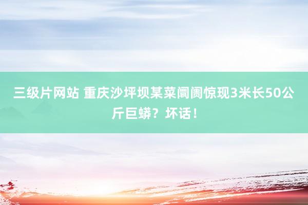 三级片网站 重庆沙坪坝某菜阛阓惊现3米长50公斤巨蟒？坏话！