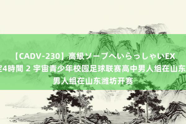 【CADV-230】高級ソープへいらっしゃいEX 巨乳限定4時間 2 宇宙青少年校园足球联赛高中男人组在山东潍坊开赛