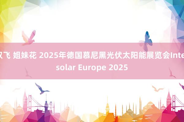 双飞 姐妹花 2025年德国慕尼黑光伏太阳能展览会Intersolar Europe 2025