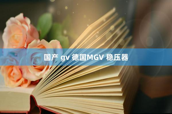 国产 gv 德国MGV 稳压器