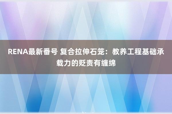 RENA最新番号 复合拉伸石笼：教养工程基础承载力的贬责有缠绵