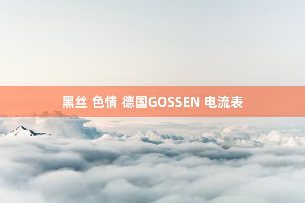 黑丝 色情 德国GOSSEN 电流表