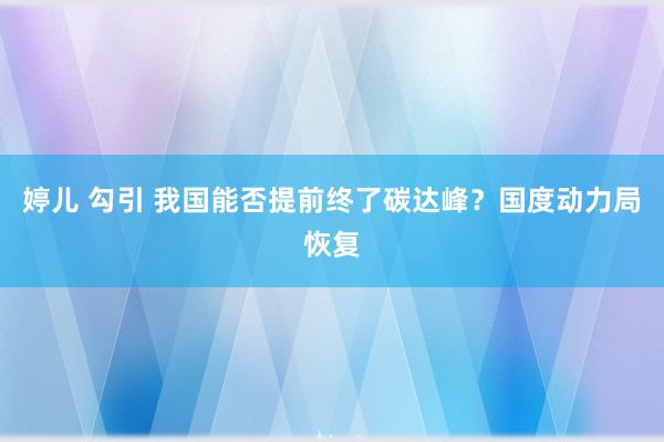 婷儿 勾引 我国能否提前终了碳达峰？国度动力局恢复