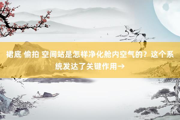 裙底 偷拍 空间站是怎样净化舱内空气的？这个系统发达了关键作用→