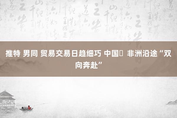 推特 男同 贸易交易日趋细巧 中国⇌非洲沿途“双向奔赴”