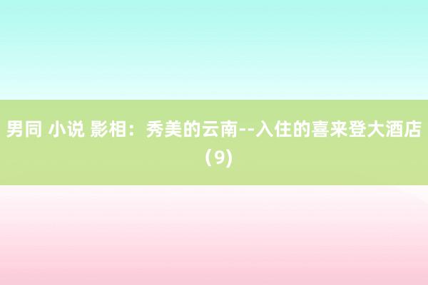 男同 小说 影相：秀美的云南--入住的喜来登大酒店（9)