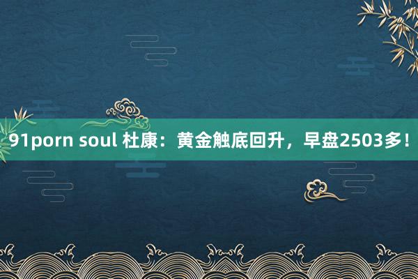 91porn soul 杜康：黄金触底回升，早盘2503多！