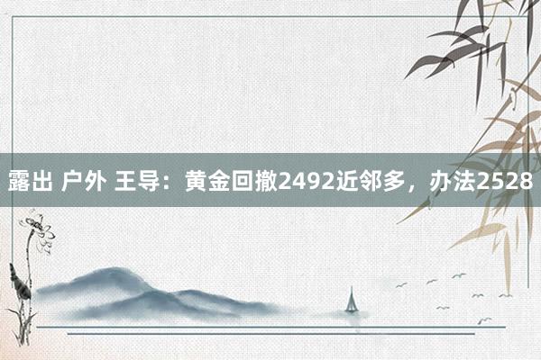 露出 户外 王导：黄金回撤2492近邻多，办法2528