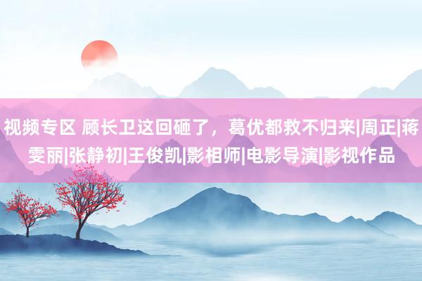 视频专区 顾长卫这回砸了，葛优都救不归来|周正|蒋雯丽|张静初|王俊凯|影相师|电影导演|影视作品