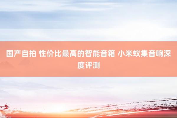 国产自拍 性价比最高的智能音箱 小米蚁集音响深度评测