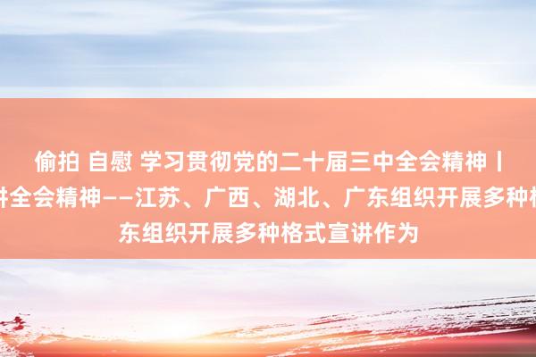 偷拍 自慰 学习贯彻党的二十届三中全会精神丨经心用情宣讲全会精神——江苏、广西、湖北、广东组织开展多种格式宣讲作为